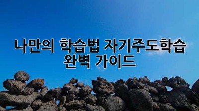 나만의 학습법, 자기주도학습 완벽 가이드